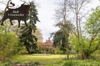 Bed and Breakfast Ossenschot